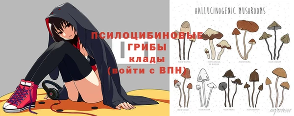 шишки Алексеевка