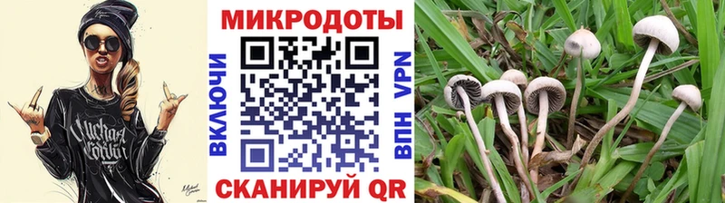 Галлюциногенные грибы Cubensis Купить где Пермь